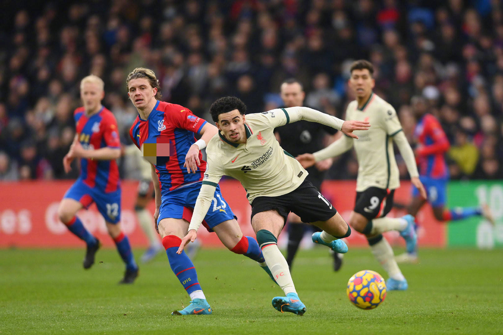 但他的未来 但他的未来